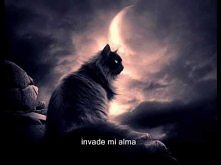 Spirit Of The Rising Moon -...