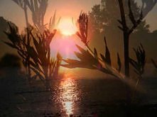 SIMONA james blunt 1973