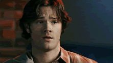 Sammy :D GIF