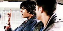 Sammy *.* GIF