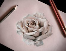 "Rose"
by Karolina Czekaj (Poland)