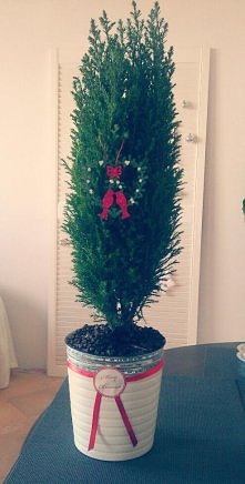 Świąteczne drzewko.