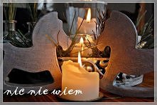 konik na biegunach :)