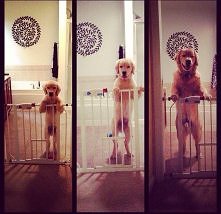 Czas upływa, a my starzejemy się niepostrzeżenie.