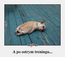Po ostrym treningu...