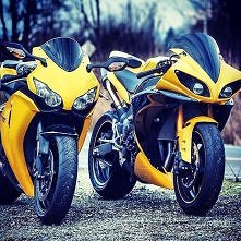 Żółte piękności <3
Która podoba Wam się bardziej? Honda czy Yamaha? :)