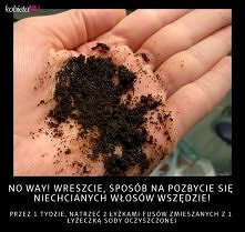 ciekawe czy działa