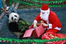 Pandom też się coś należy, ...