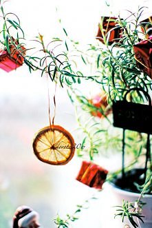 Zrób sam/a suszone pomarańcze na choinkę!! :)