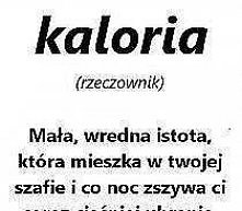 kaloria