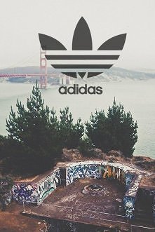 adidas <3