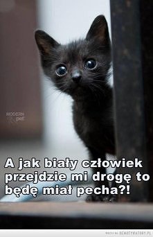 no właśnie? o to jest pytanie :P