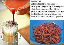 ciekawe robaczki