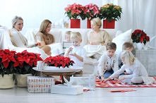 Spędzanie czasu z rodziną p...