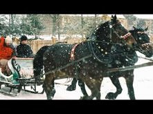 Skaldowie-Z kopyta kulig rwie