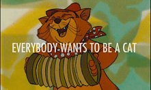 Aryskotraci - uwielbiam