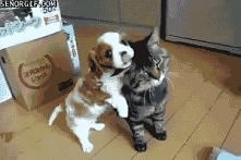hihi ^^