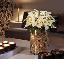 poinsecja w szklanym szerokim wazonie. Wydaje mi się, że tam w środku jest złoty łańcuch choinkowy i bańki oczywiście :) Bardzo mi się podoba.