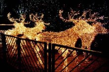 Świecący zaprzęg :)