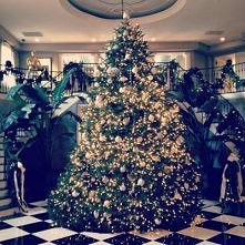 iii.. ta sslabosc do choineek..
#1 c.d.n <3