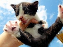 jedyne zdjęcie z wakacji, k...