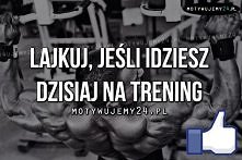 Polub ,jeśli idziesz dzisiaj na trening ;)