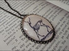 więcej po kliknięciu w zdjęcie