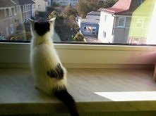 będzie fajnie.... mówili...