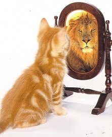 Jak niektórzy ludzie widzą ...