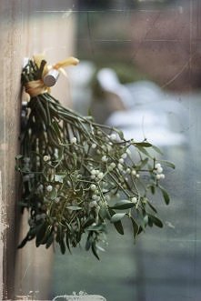 Pocałunek pod jemiołą...dozwolony! : )