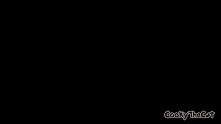 koci gif