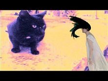 SOKO :: Destruction Of The Disgusting Ugly Hate ( Official Video )