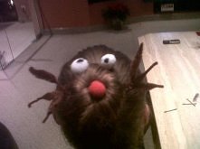 świąteczna fryzurka, haha :D