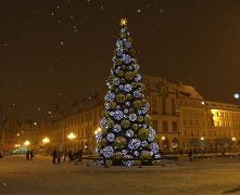 piękna wrocławska choinka