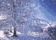 Gdzie jesteś, śniegu.? ; (