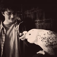 the best book ever :))