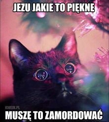 U mnie już w te święta;P