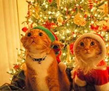 Prezety dla pupili też być ...