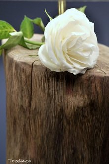 Piękno tkwi w prostocie