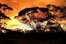 Gawler Ranges Wilderness Safaris, Australia