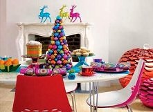 szaleństwo na maksa!