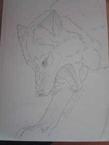 takiego wilka starego znalazłam jaki fajny 
???