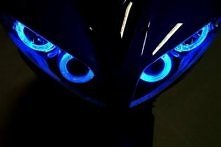 Ach te spojrzenie w cudownym odcieniu niebieskiego <3
Zakochałam się w tych ,,oczkach" *_* /Req449