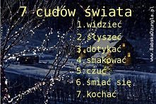 Ten cudowny dzień , jeden j...