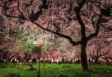 coś wspaniałego :)