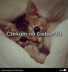 :33