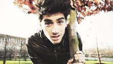 zayn <3