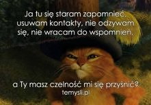 Ja tu się staram zapomnieć, usuwam kontakty, nie odzywam się, nie wracam do wspomnień, a ty masz czelność mi się przyśnić?