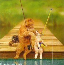 widzisz synku to naj prosts...