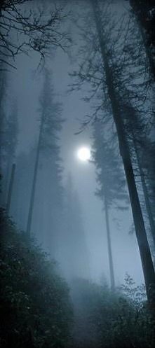 czasem ciężko zobaczyć księ...